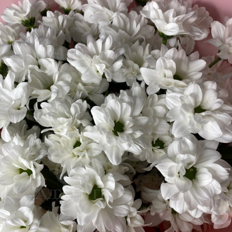 Букет &laquo;Маме&raquo;