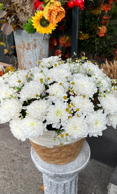 Корзина Лето на Алтае