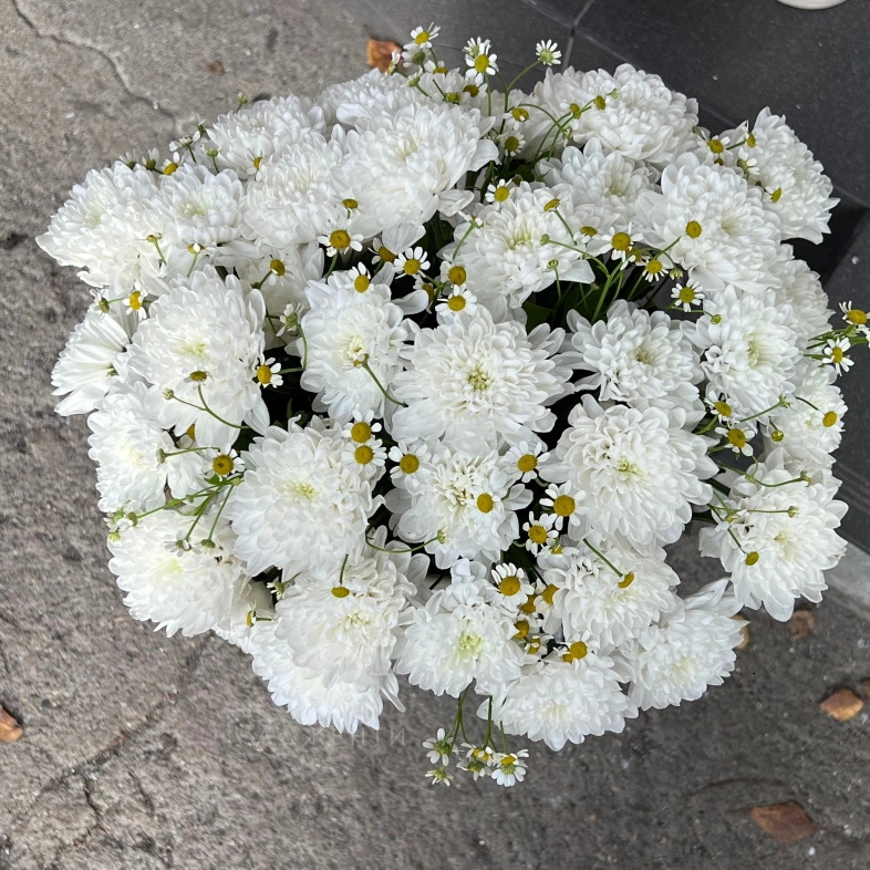 Корзина Лето на Алтае