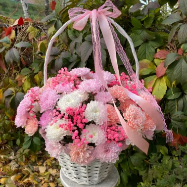 Корзина из хризантем фуксия